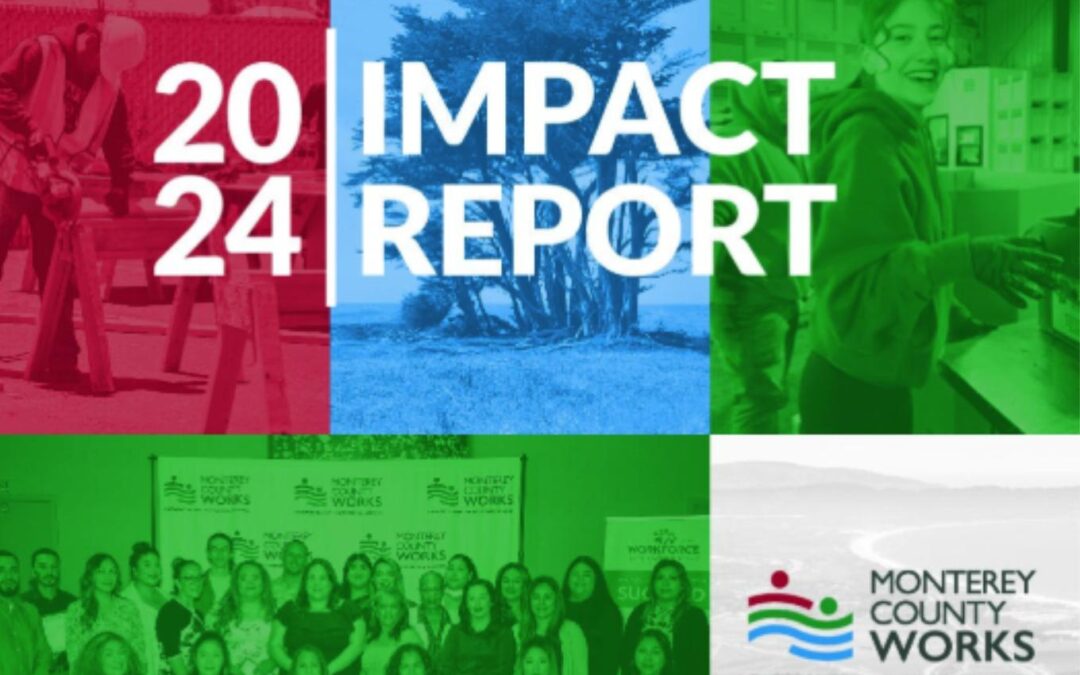 Annual Impact Report