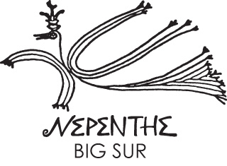 Sales Associate (Nepenthe)