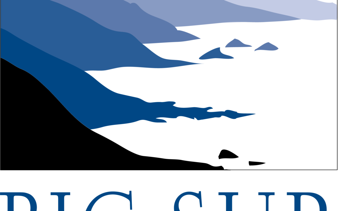 Development Assistant