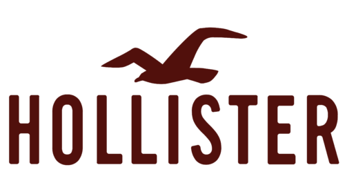 Hollister Co.
